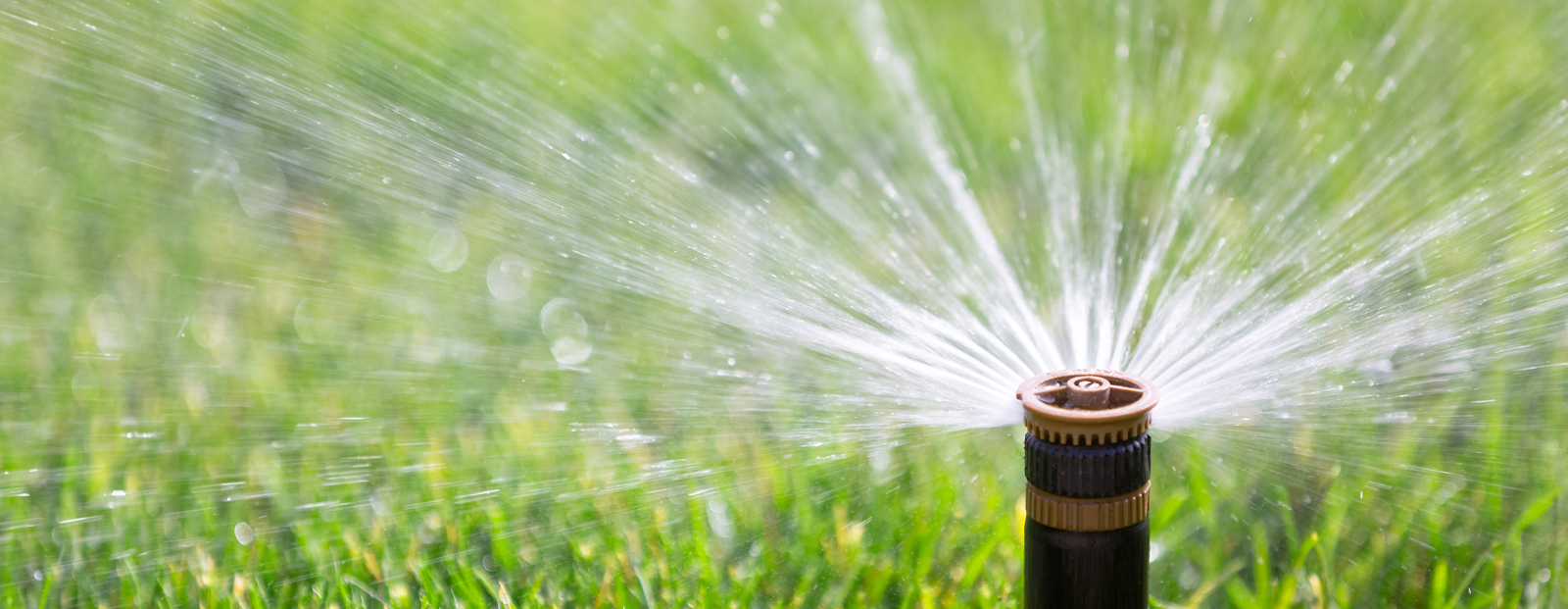 Regen- und Grauwassernutzung